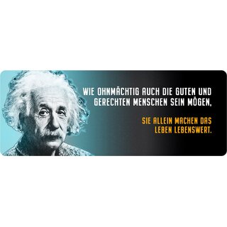 Schild Spruch "Wie ohnmächtig auch die guten und gerechten Menschen, Einstein" 27 x 10 cm Blechschild