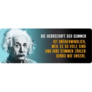 Schild Spruch "Die Herrschaft der Dummen, Einstein" 27 x 10 cm Blechschild