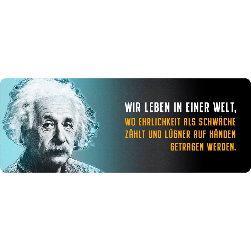 Schild Spruch "Wir leben in einer Welt, Einstein" 27 x 10 cm Blechsch