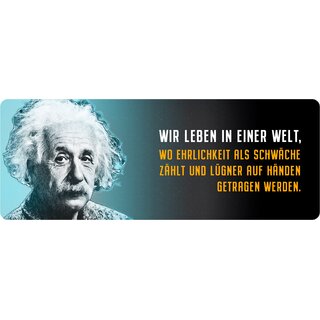 Schild Spruch "Wir leben in einer Welt, Einstein" 27 x 10 cm Blechschild