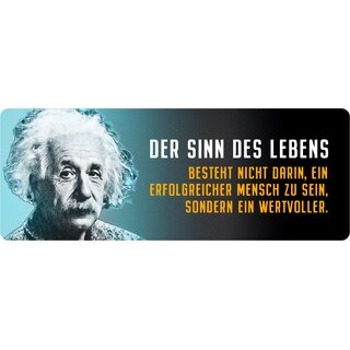 Schild Spruch "Der Sinn des Lebens, Einstein" 27 x 10 cm Blechschild