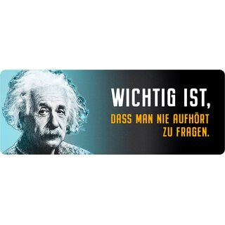 Schild Spruch "Wichtig ist, dass man nie aufhört zu fragen, Einstein" 27 x 10 cm Blechschild
