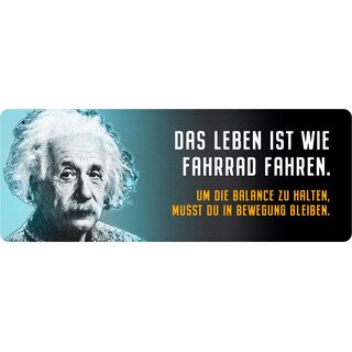 Schild Spruch "Das Leben ist wie Fahrrad fahren, Einstein" 27 x 10 cm Blechschild