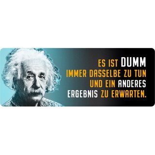 Schild Spruch "Es ist dumm immer dasselbe zu tun, Einstein" 27 x 10 cm Blechschild