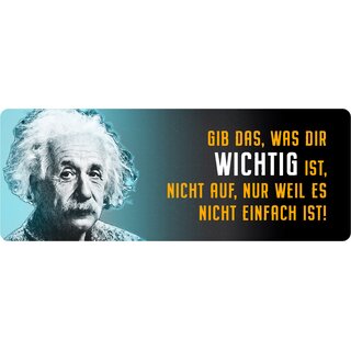 Schild Spruch "Gib das was dir wichtig ist, Einstein" 27 x 10 cm Blechschild
