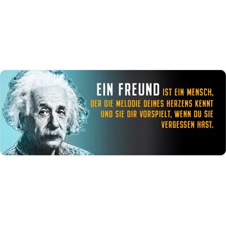 Schild Spruch "Freund ist ein Mensch, der Melodie des Herzens, Einstein" 27 x 10 cm Blechschild