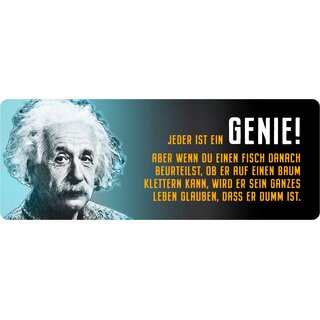 Schild Spruch "Jeder ist ein Genie, Einstein" 27 x 10 cm Blechschild