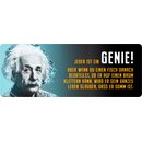 Schild Spruch "Jeder ist ein Genie, Einstein"...