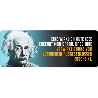 Schild Spruch "Eine wirklich gute Idee, Einstein" 27 x 10 cm Blechschild