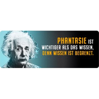 Schild Spruch "Phantasie ist wichtiger, Einstein" 27 x 10 cm Blechschild