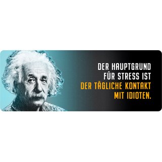 Schild Spruch "Hauptgrund für Stress, Einstein" 27 x 10 cm Blechschild