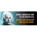 Schild Spruch "Geniale Menschen sind selten...