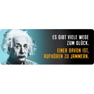 Schild Spruch "Viele Wege zum Glück, Einstein" 27 x 10 cm Blechschild