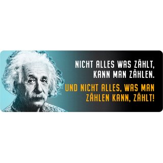 Schild Spruch "Nicht alles was zählt, Einstein" 27 x 10 cm Blechschild