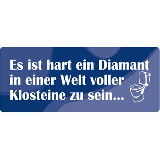 Schild Spruch "Hart wie Diament, Welt voller Klosteine" 27 x 10 cm Blechschild