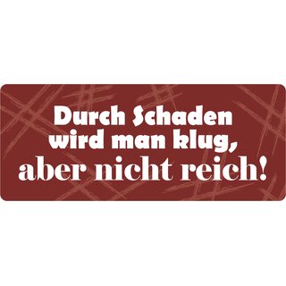 Schild Spruch "Durch Schaden wird man klug" 27 x 10 cm Blechschild
