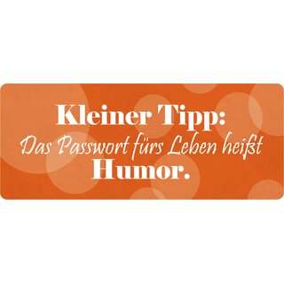 Schild Spruch "Passwort fürs Leben heißt Humor" 27 x 10 cm Blechschild