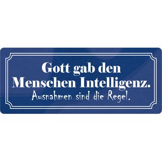 Schild Spruch "Gott gab den Menschen Intelligenz" 27 x 10 cm Blechschild