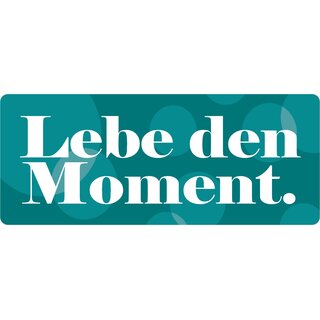 Schild Spruch "Lebe den Moment." 27 x 10 cm Blechschild
