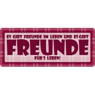 Schild Spruch "Freunde im Leben, Freunde fürs Leben" 27 x 10 cm Blechschild