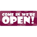 Schild Spruch "Come in we´re open!" 27 x...