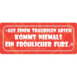 Schild Spruch "Aus einem traurigen Arsch" 27 x 10 cm Blechschild