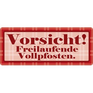 Schild Spruch "Vorsicht freilaufende Vollpfosten" 27 x 10 cm Blechschild