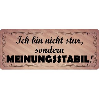 Schild Spruch "Nicht stur sondern meinungsstabil" 27 x 10 cm Blechschild