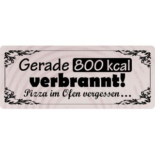 Schild Spruch "Gerade 800 kcal verbrannt" 27 x 10 cm Blechschild