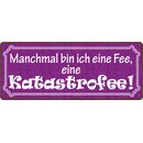 Schild Spruch "Manchmal bin ich eine Fee...