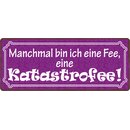 Schild Spruch "Manchmal bin ich eine Fee...