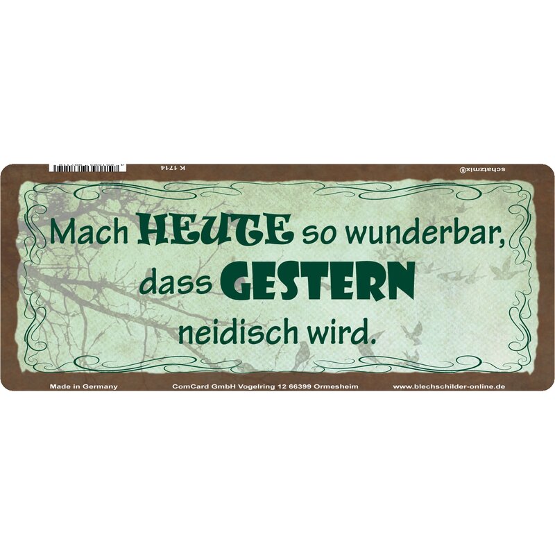 Schild Spruch "Mach heute so wunderbar, gestern neidisch" 27 x 10 cm