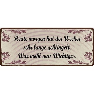 Schild Spruch "Heute morgen hat der Wecker lange geklingelt" 27 x 10 cm Blechschild