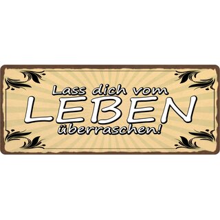 Schild Spruch "Lass dich vom Leben überraschen" 27 x 10 cm Blechschild