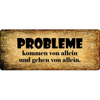 Schild Spruch "Probleme kommen von allein und gehen von allein" 27 x 10 cm Blechschild