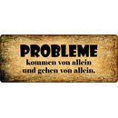 Schild Spruch "Probleme kommen von allein und gehen...