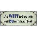 Schild Spruch "Die Welt ist schön" 27 x 10...