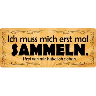 Schild Spruch "Ich muss mich erst mal sammeln" 27 x 10 cm Blechschild