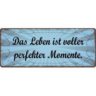 Schild Spruch "Das Leben ist voller perfekter Momente." 27 x 10 cm Blechschild