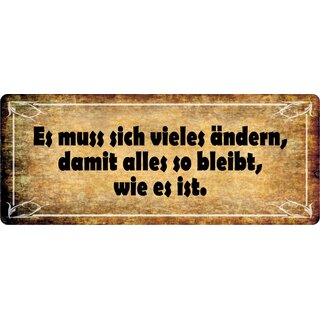 Schild Spruch "Es muss sich vieles ändern" 27 x 10 cm Blechschild