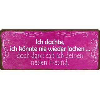 Schild Spruch "Ich dachte ich könnte nie wieder lachen, Freund" 27 x 10 cm Blechschild