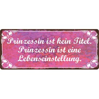 Schild Spruch "Prinzessin ist kein Titel" 27 x 10 cm Blechschild