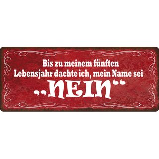 Schild Spruch "Bis zu meinem fünften Lebensjahr, Name Nein" 27 x 10 cm Blechschild