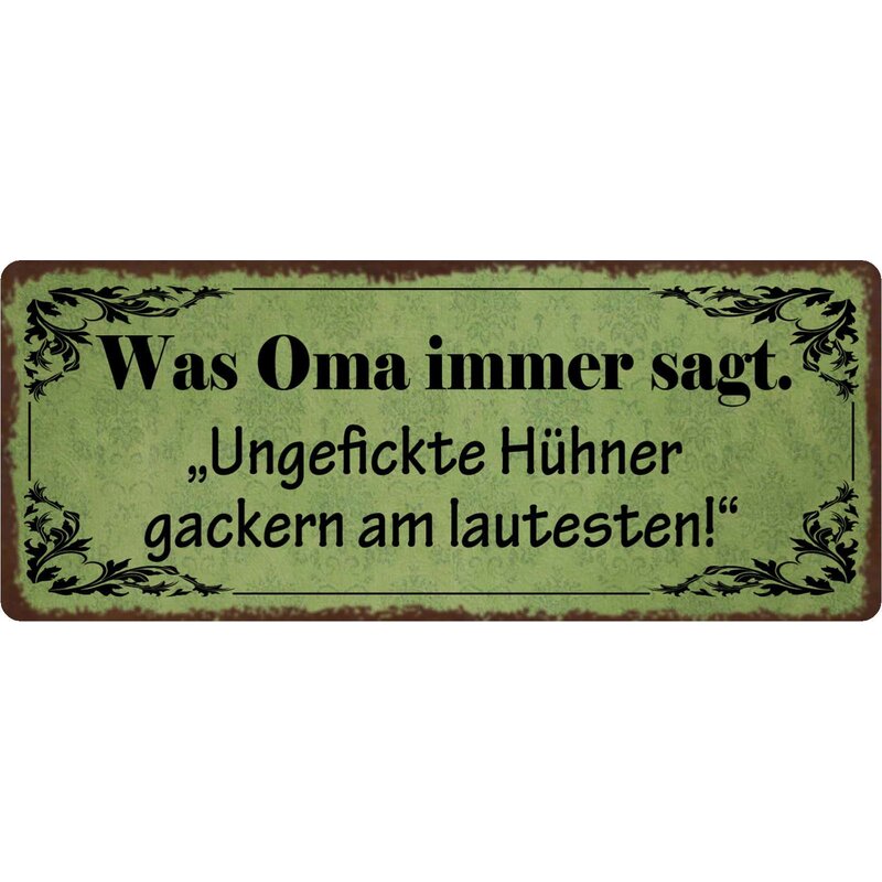 Schild Spruch "Was Oma immer sagt" 27 x 10 cm Blechschild, 9,49