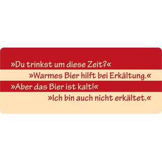 Schild Spruch "Warmes Bier hilft bei Erkältung" 27 x 10 cm Blechschild