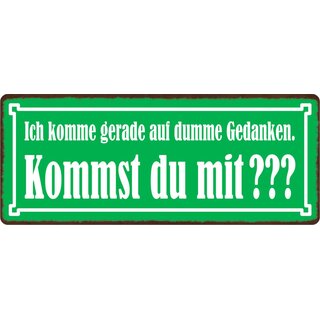 Schild Spruch "Ich komme gerade auf dumme Gedanken" 27 x 10 cm Blechschild