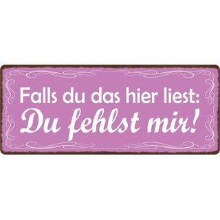 Schild Spruch "Falls du das hier liest: Du fehlts mir!" 27 x 10 cm Blechschild