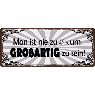 Schild Spruch "Nie zu klein um großartig zu sein" 27 x 10 cm Blechschild
