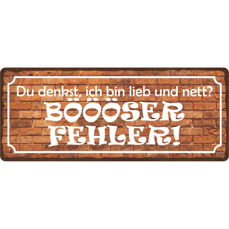 Schild Spruch "Du denkst ich bin lieb und nett" 27 x 10 cm Blechschil