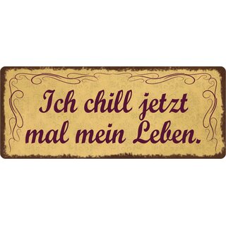 Schild Spruch "Ich chill jetzt mal mein Leben." 27 x 10 cm Blechschild